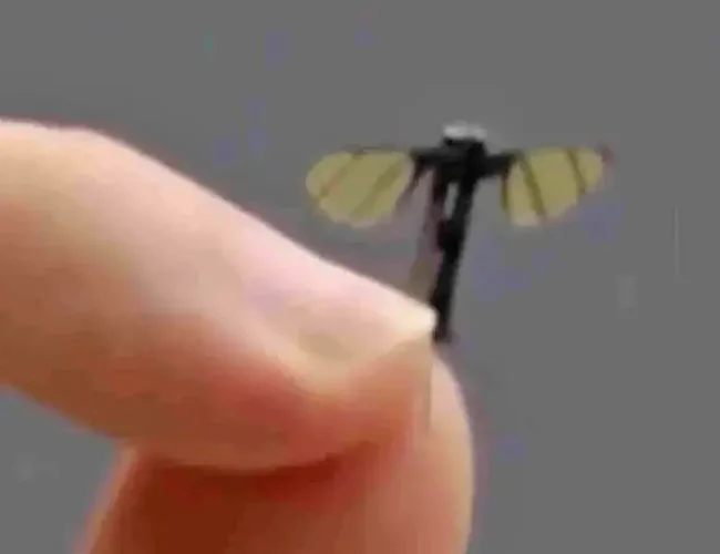Así es el minidron espía chino del tamaño de un mosquito
