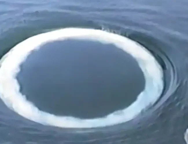 Científicos sugieren que ballenas jorobadas podrían estar enviando mensajes a los humanos