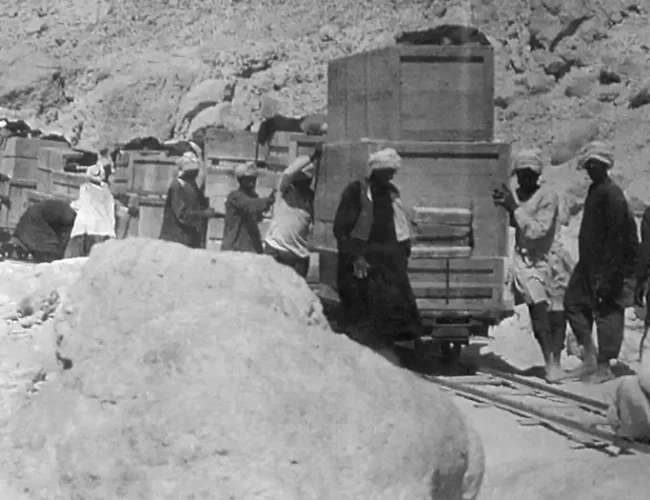 Hongo letal de Tutankamón podría usarse para combatir cáncer