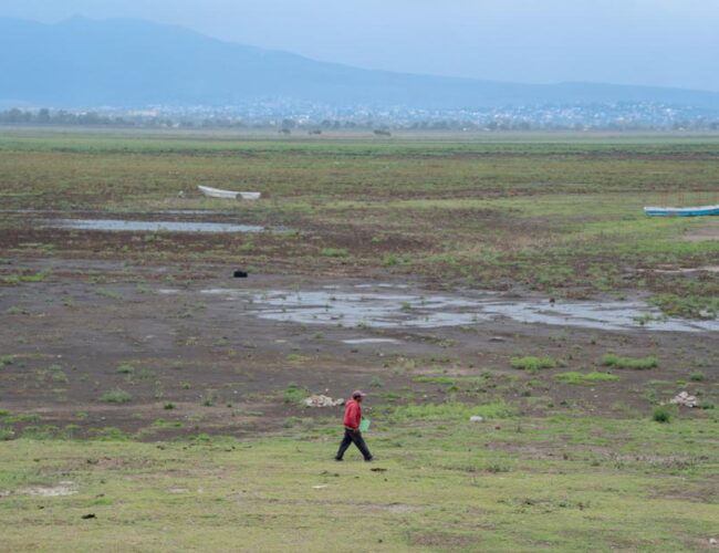 México se calienta más que el promedio global, advierte experto