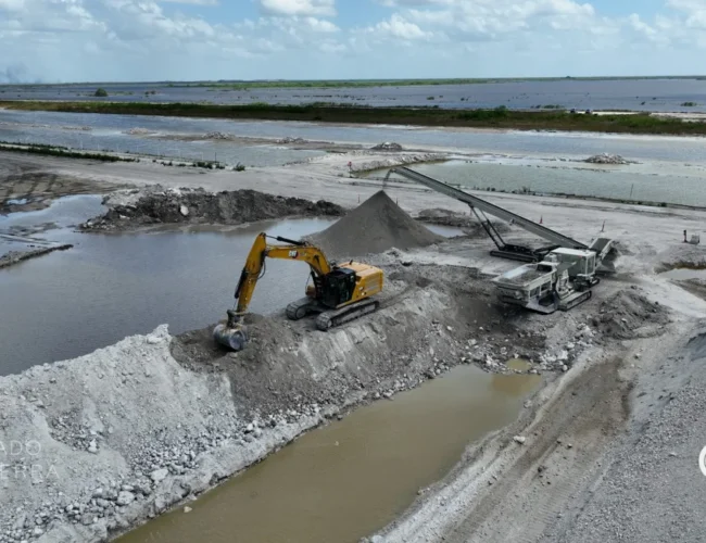 Misión Everglades: el monumental plan para restaurar el ecosistema subtropical más grande de Estados Unidos y asegurar el agua de Florida