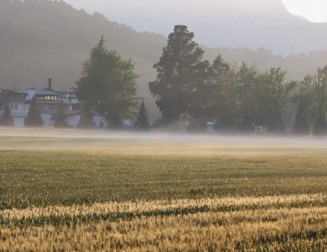 Colonia Dignidad: «Nunca es tarde para hacer justicia»