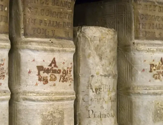 ¿Quién escribió la Biblia? La IA revela «firmas ocultas»