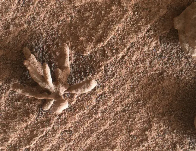 Marte, ¿sin vida por diseño? Curiosity revela pistas sobre su pasado desértico