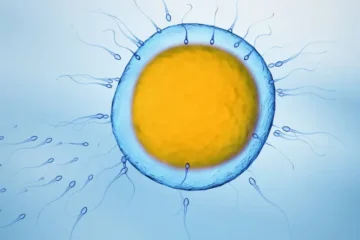 Microplásticos invaden la intimidad humana: los hallan en semen y ovarios, alertando sobre riesgos reproductivos