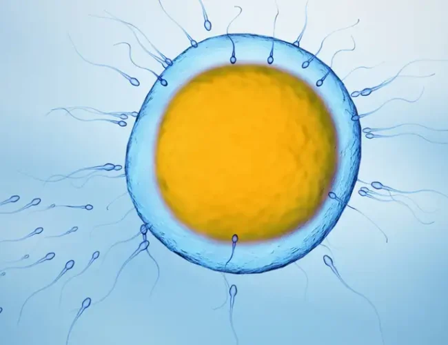 Microplásticos invaden la intimidad humana: los hallan en semen y ovarios, alertando sobre riesgos reproductivos