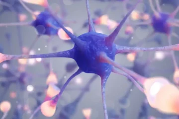 ¿Memorias después de la muerte? 7 de cada 10 neurocientíficos creen que podrían sobrevivir en el cerebro