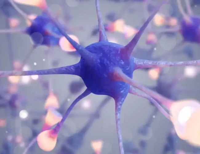 ¿Memorias después de la muerte? 7 de cada 10 neurocientíficos creen que podrían sobrevivir en el cerebro