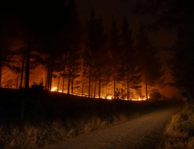 Chile lucha contra incendios que avanzan hacia el sur del país