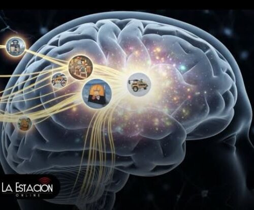El proceso cerebral que convierte vivencias en memorias