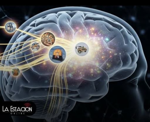 El proceso cerebral que convierte vivencias en memorias