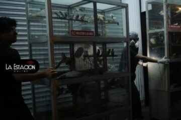 Bomberos y Proanimal rescatan mascotas tras incendio en el Multicomercio de Guayaquil