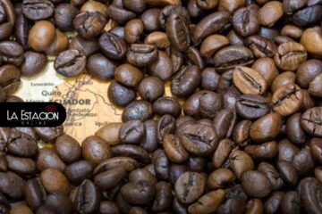 El café ecuatoriano gana protagonismo en las exportaciones