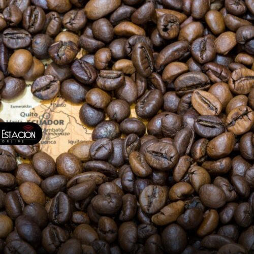 El café ecuatoriano gana protagonismo en las exportaciones
