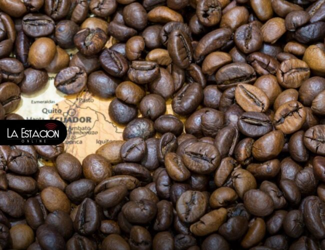 El café ecuatoriano gana protagonismo en las exportaciones