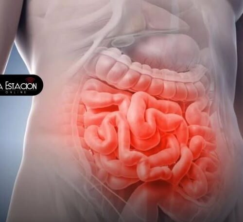 La salud instestinal podría anticipar un infarto