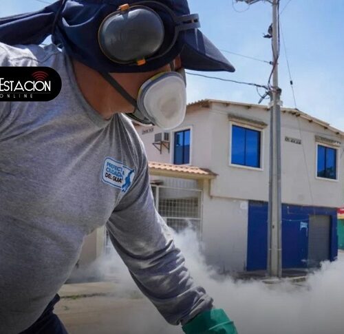 Refuerzan fumigación en Guayas y Samborondón ante brote de Dengue