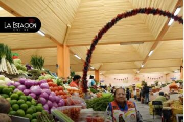 Alimentos que tendrán IVA del 15% en Ecuador