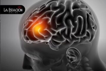Accidente cerebrovascular: Descubre los perfiles de mayor riesgo