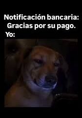 ¡La felicidad duró menos que un saldo positivo!