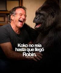 ¡La inolvidable amistad entre Koko y Robin Williams sigue emocionando al mundo!